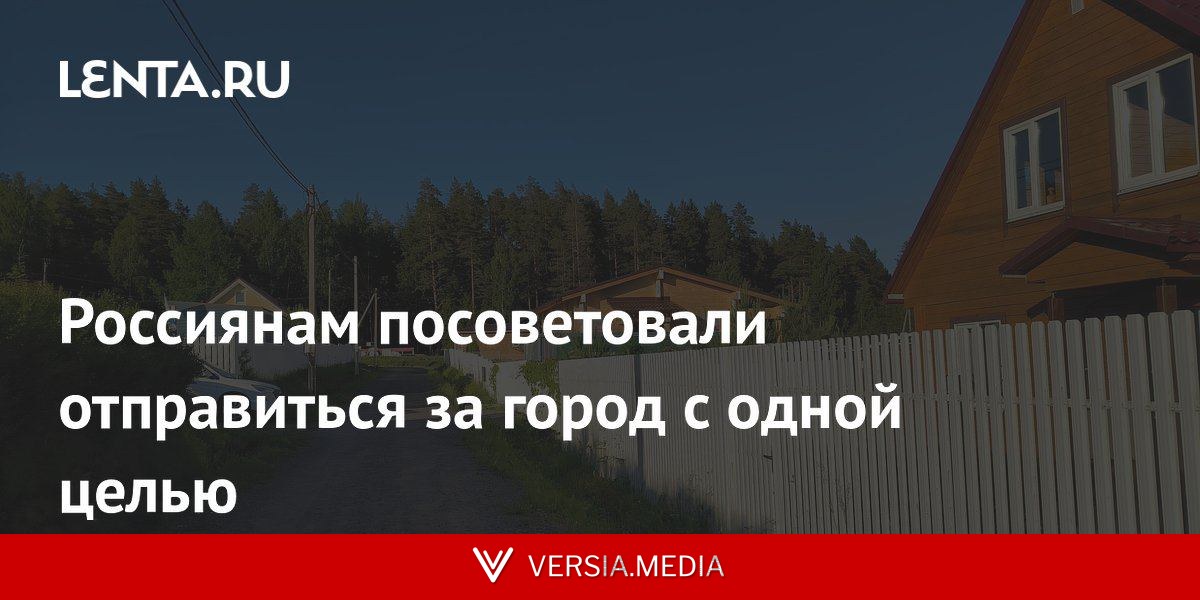 Россиянам посоветовали отправиться за город с одной целью