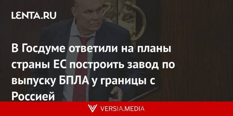 В Госдуме ответили на планы страны ЕС построить завод по выпуску БПЛА у границы с Россией