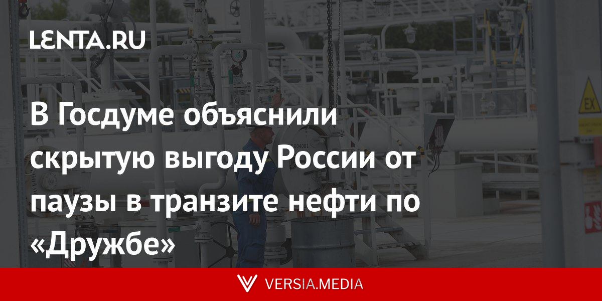 В Госдуме объяснили скрытую выгоду России от паузы в транзите нефти по «Дружбе»