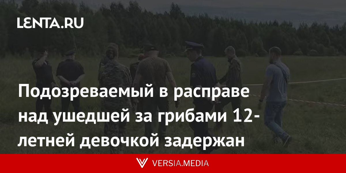Подозреваемый в расправе над ушедшей за грибами 12-летней девочкой задержан
