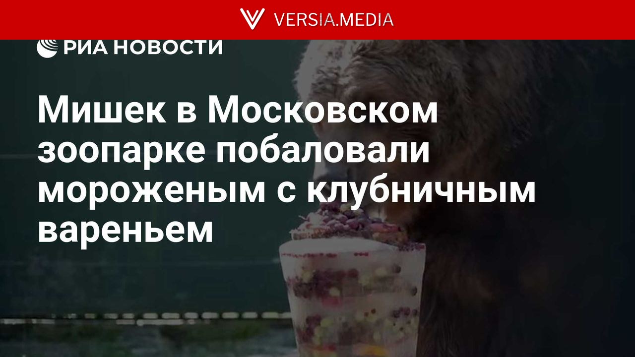 Мишек в Московском зоопарке побаловали мороженым с клубничным вареньем