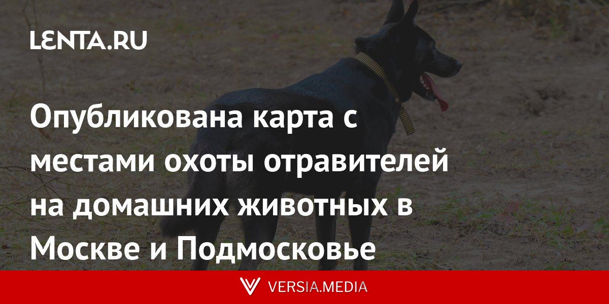 Опубликована карта с местами охоты отравителей на домашних животных в Москве и Подмосковье