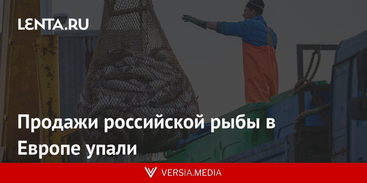 Продажи российской рыбы в Европе упали