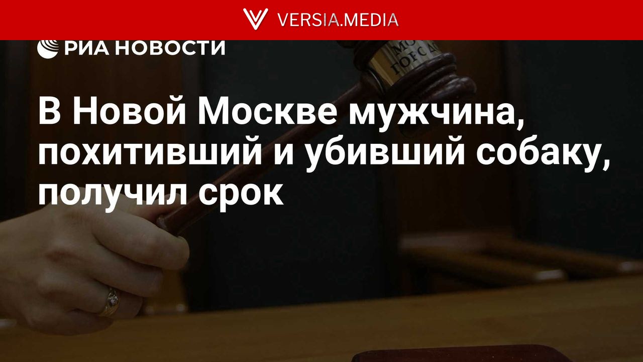 В Новой Москве мужчина, похитивший и убивший собаку, получил срок