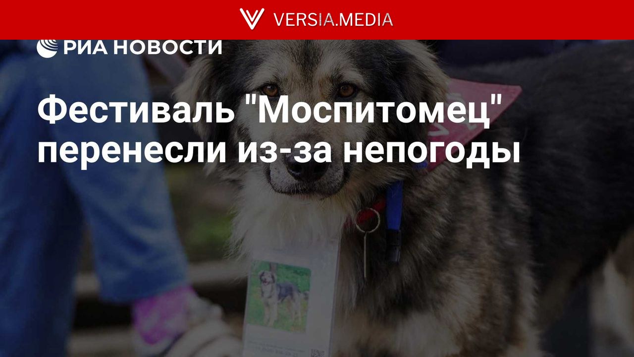 Фестиваль 