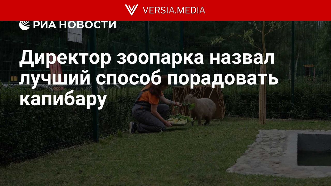 Директор зоопарка назвал лучший способ порадовать капибару