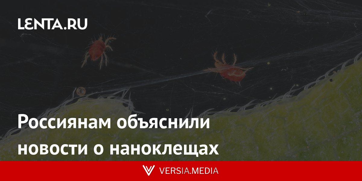 Россиянам объяснили новости о наноклещах