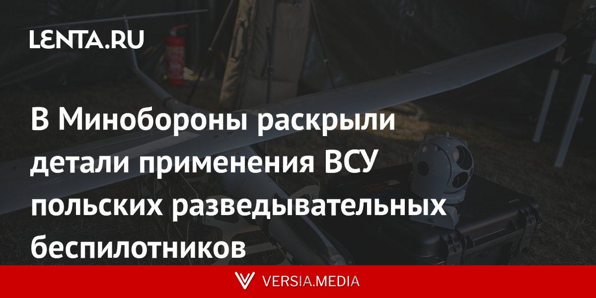 В Минобороны раскрыли детали применения ВСУ польских разведывательных беспилотников