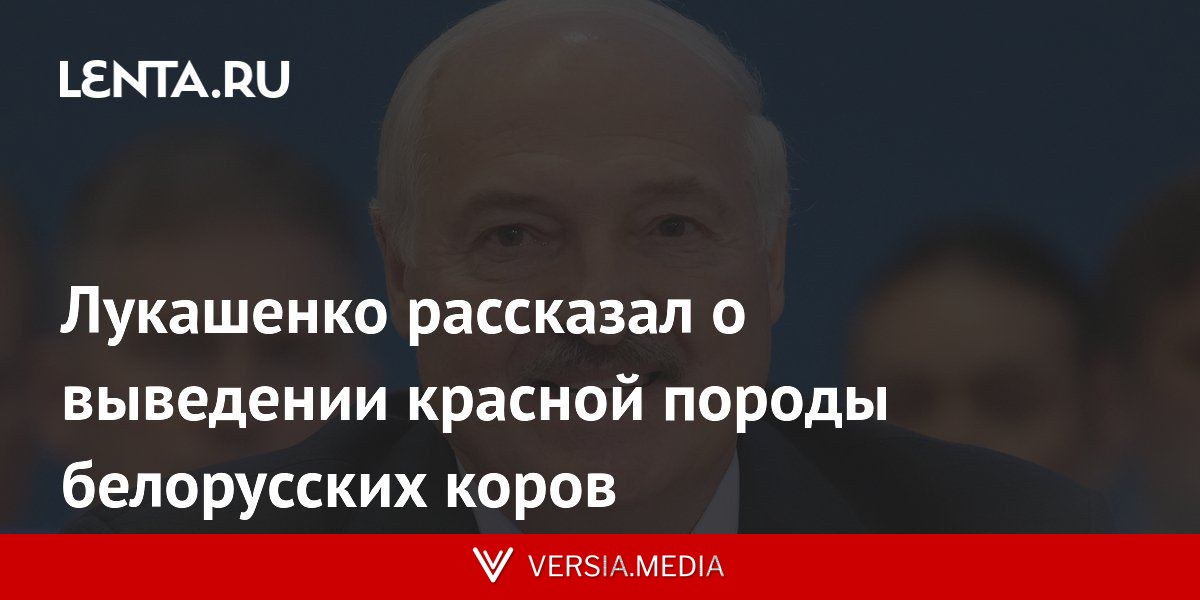 Лукашенко рассказал о выведении красной породы белорусских коров
