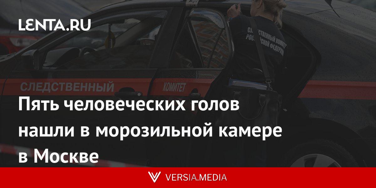 Пять человеческих голов нашли в морозильной камере в Москве