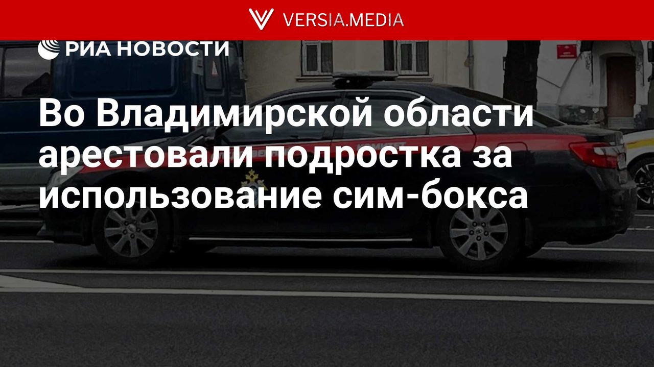 Во Владимирской области арестовали подростка за использование сим-бокса