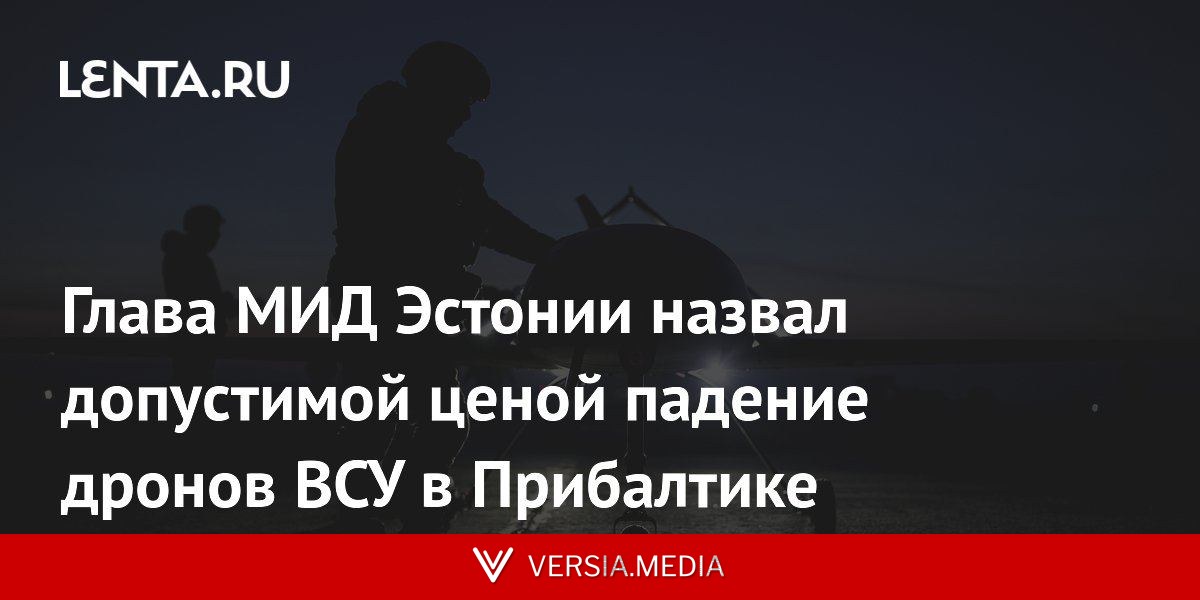 Глава МИД Эстонии назвал допустимой ценой падение дронов ВСУ в Прибалтике