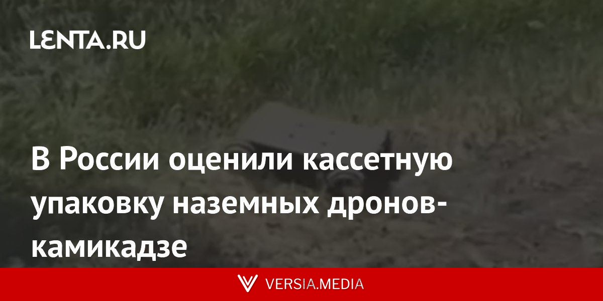 В России оценили кассетную упаковку наземных дронов-камикадзе