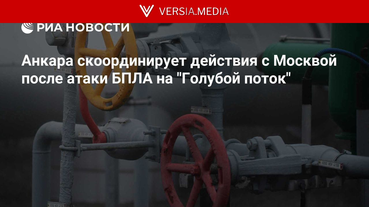 Анкара скоординирует действия с Москвой после атаки БПЛА на