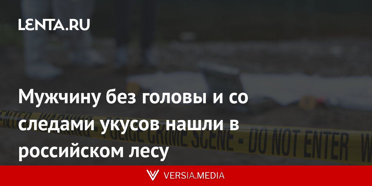Мужчину без головы и со следами укусов нашли в российском лесу