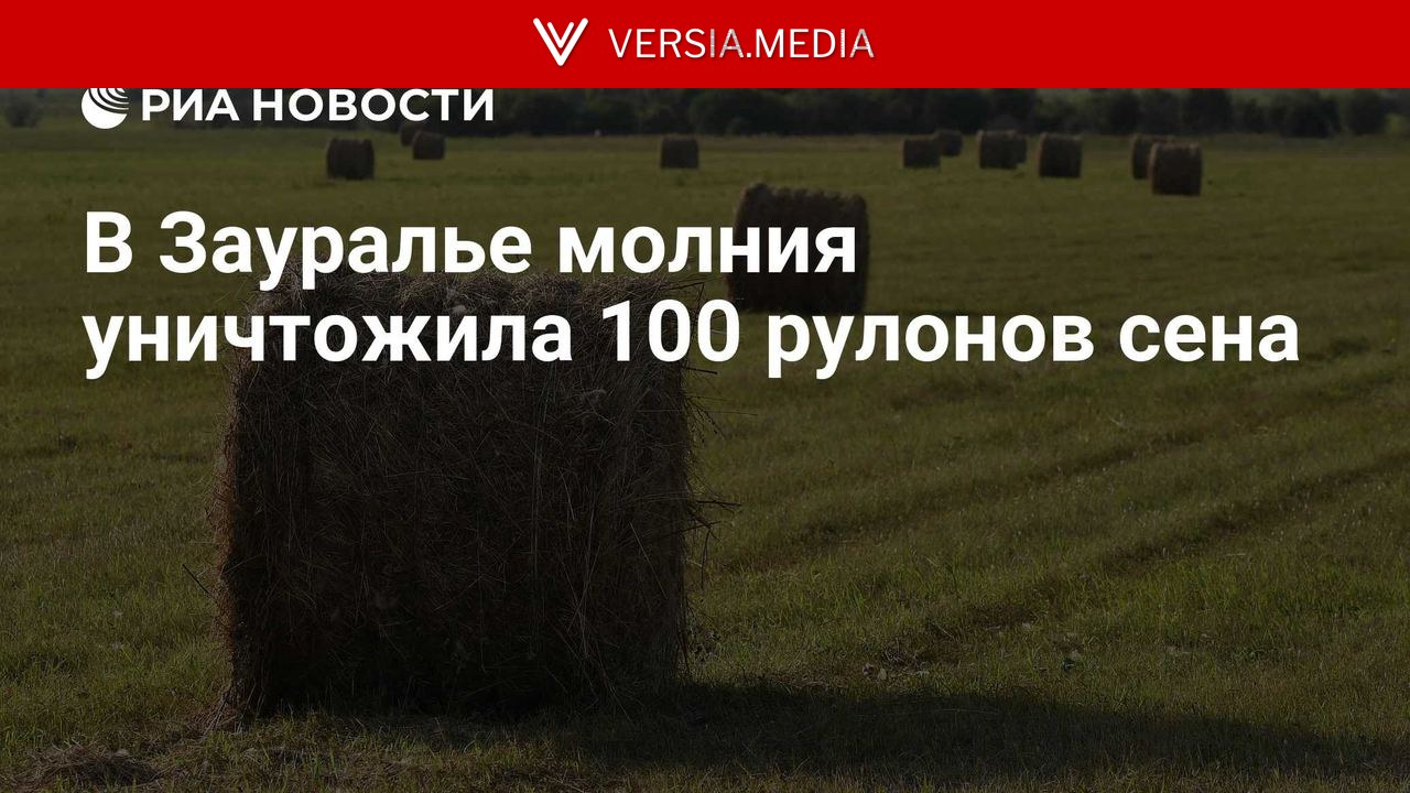 В Зауралье молния уничтожила 100 рулонов сена