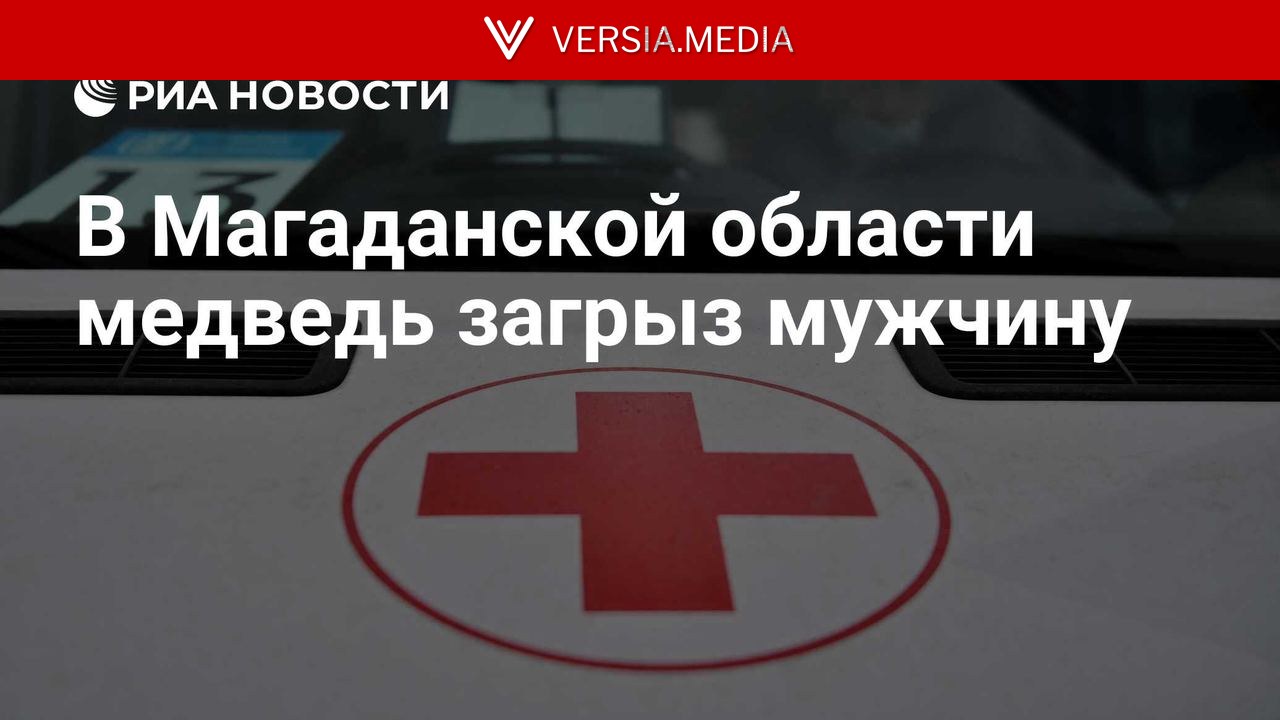 В Магаданской области медведь загрыз мужчину