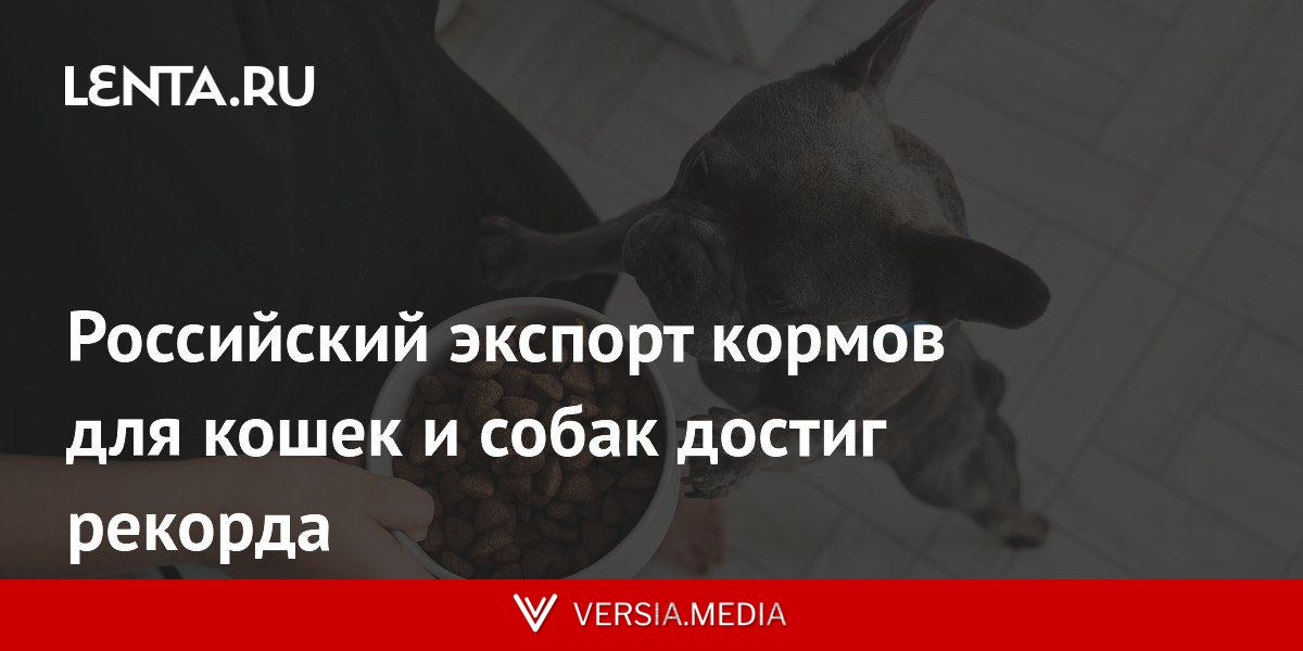 Российский экспорт кормов для кошек и собак достиг рекорда