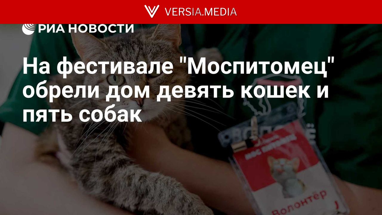 На фестивале