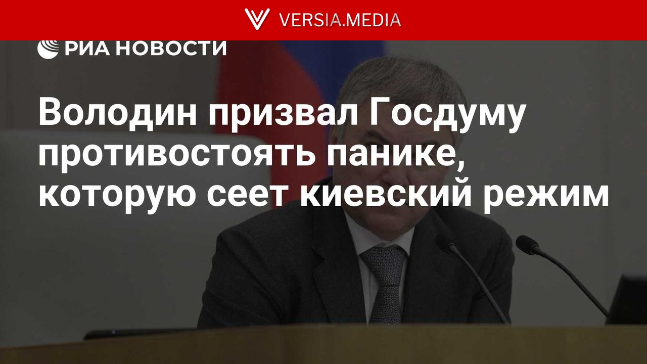 Володин призвал Госдуму противостоять панике, которую сеет киевский режим