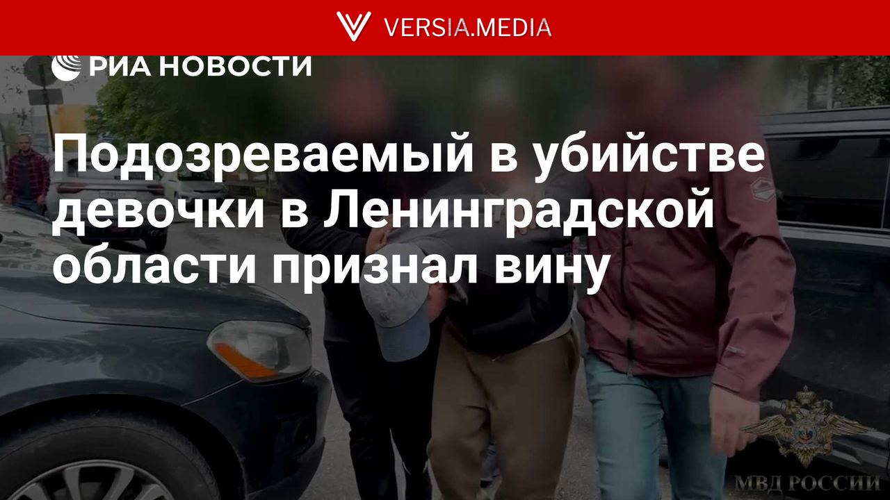 Подозреваемый в убийстве девочки в Ленинградской области признал вину