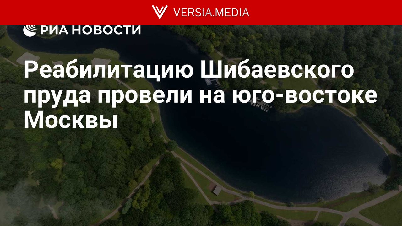 Реабилитацию Шибаевского пруда провели на юго-востоке Москвы