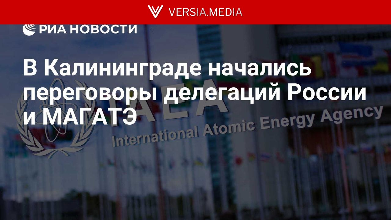 В Калининграде начались переговоры делегаций России и МАГАТЭ