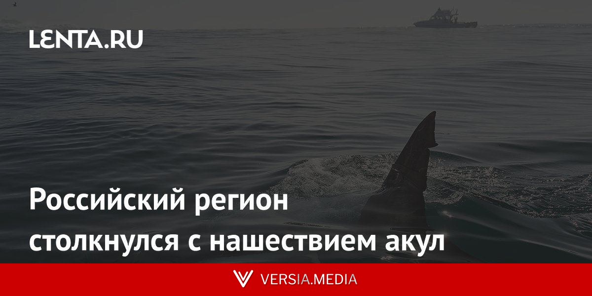 Российский регион столкнулся с нашествием акул
